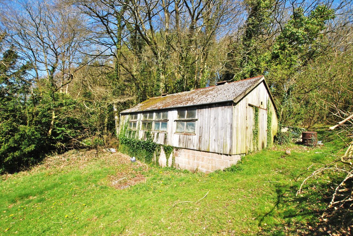 chicken shed before getting knocked down