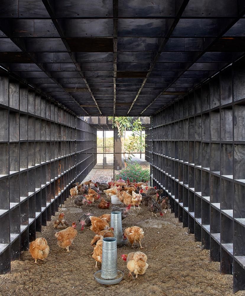 Kengo Kuma Chicken Shed