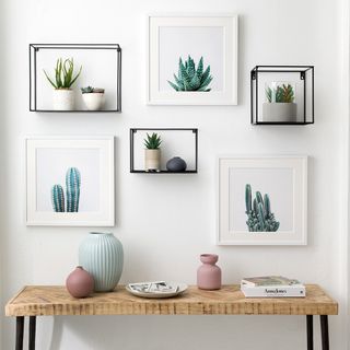room with wooden bench potted plant and wall frames