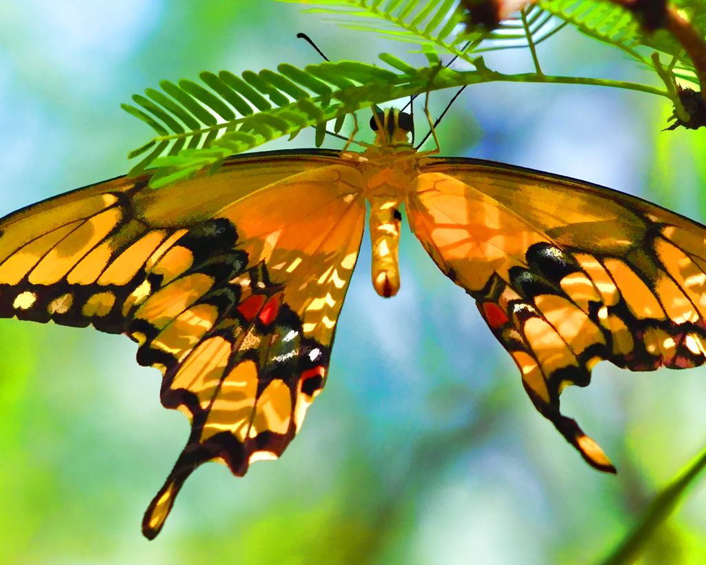 Protecting Pollinators In A Heat Wave: 8 Ways To Keep Them Cool