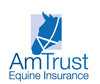 AM_Trust_Final_LOGO.JPG