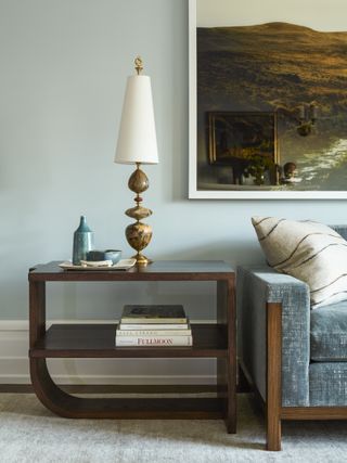 contemporary living room with light blue wall color, accessories and sofa