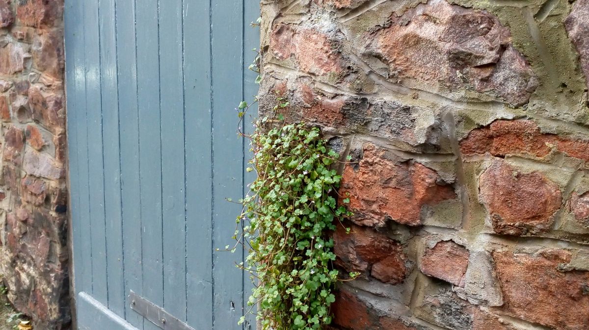 Detail on the wall in the foreground is decent.