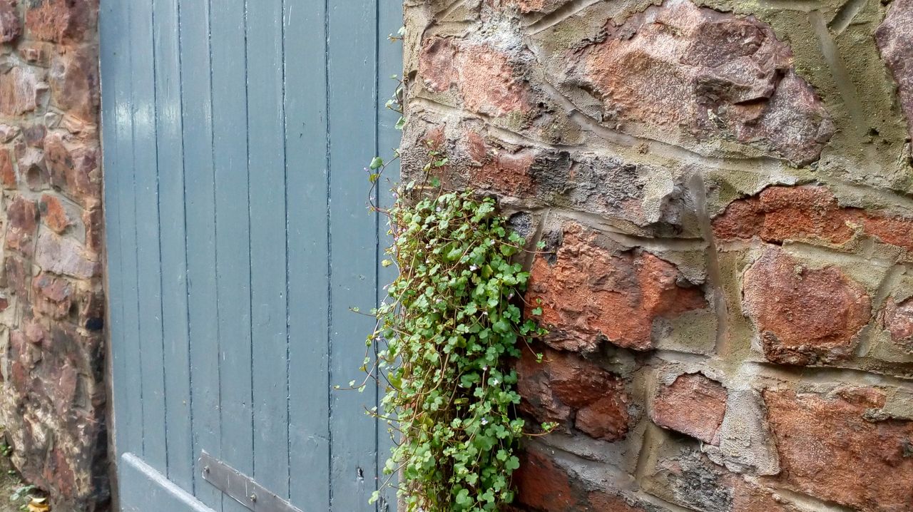 Detail on the wall in the foreground is decent.