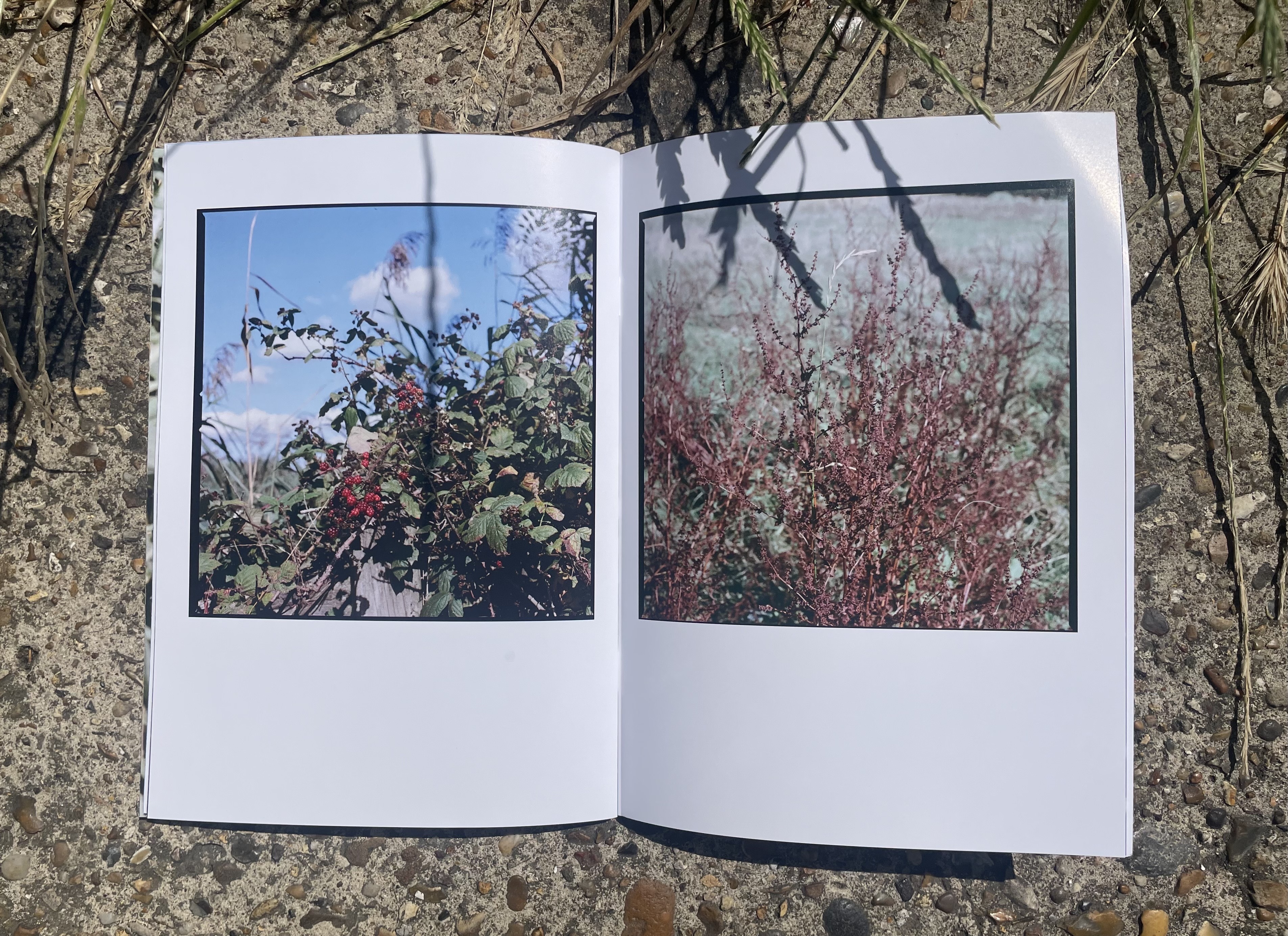 wallpaper editors out of office photo book