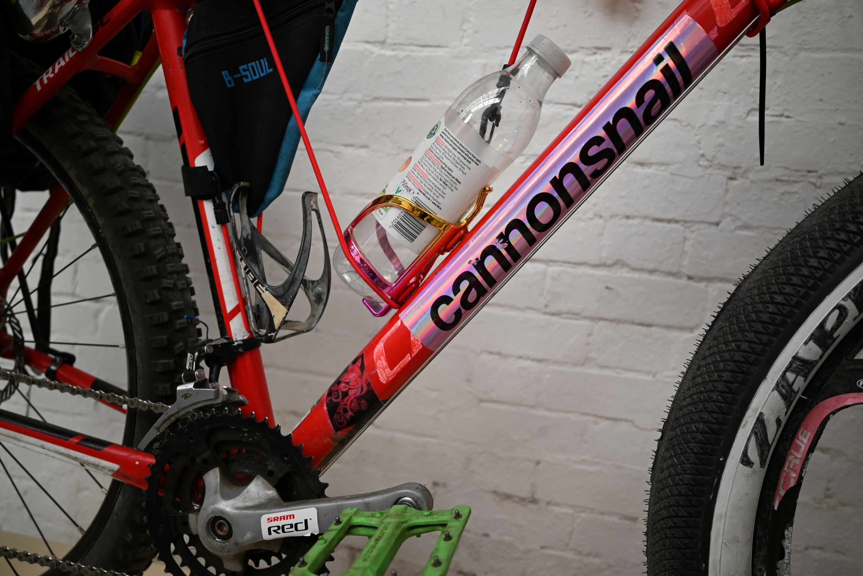 Espectáculo personalizado 2026