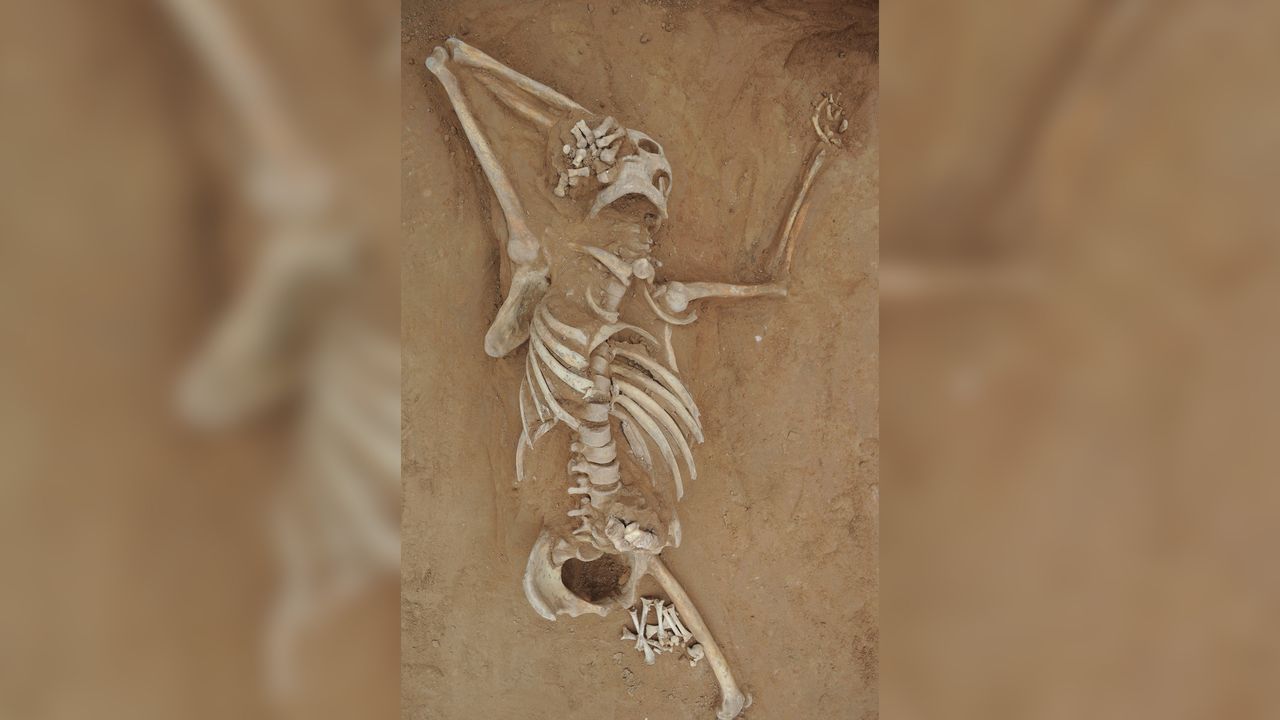 The murder victim was killed about 1,300 years ago by cut and slash wounds to his front and back. He was around 25 years old when he was killed.