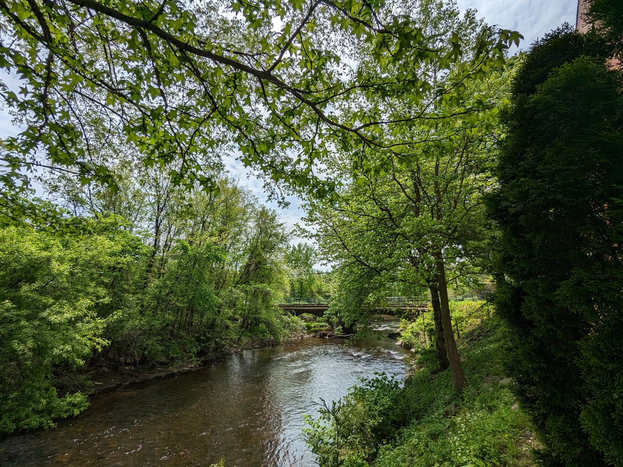 Google Pixel 7a image samples from camera