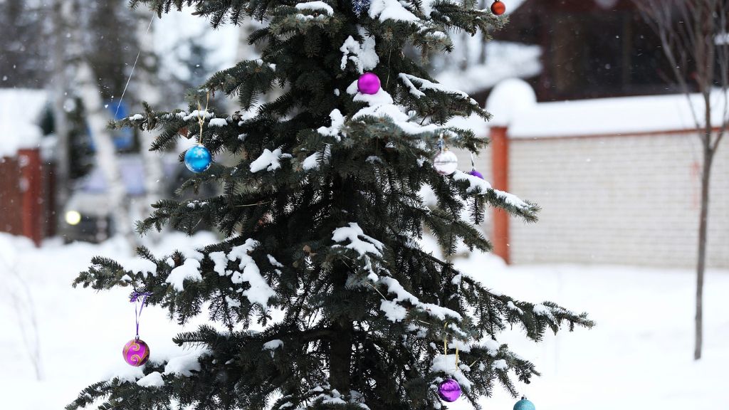 Ornaments on an outdoor Christmas tree