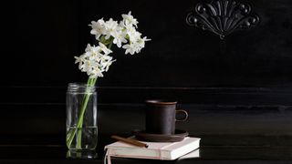 Paperwhite narcissuses (Narcissus papyraceus), note pad and mug lying on piano