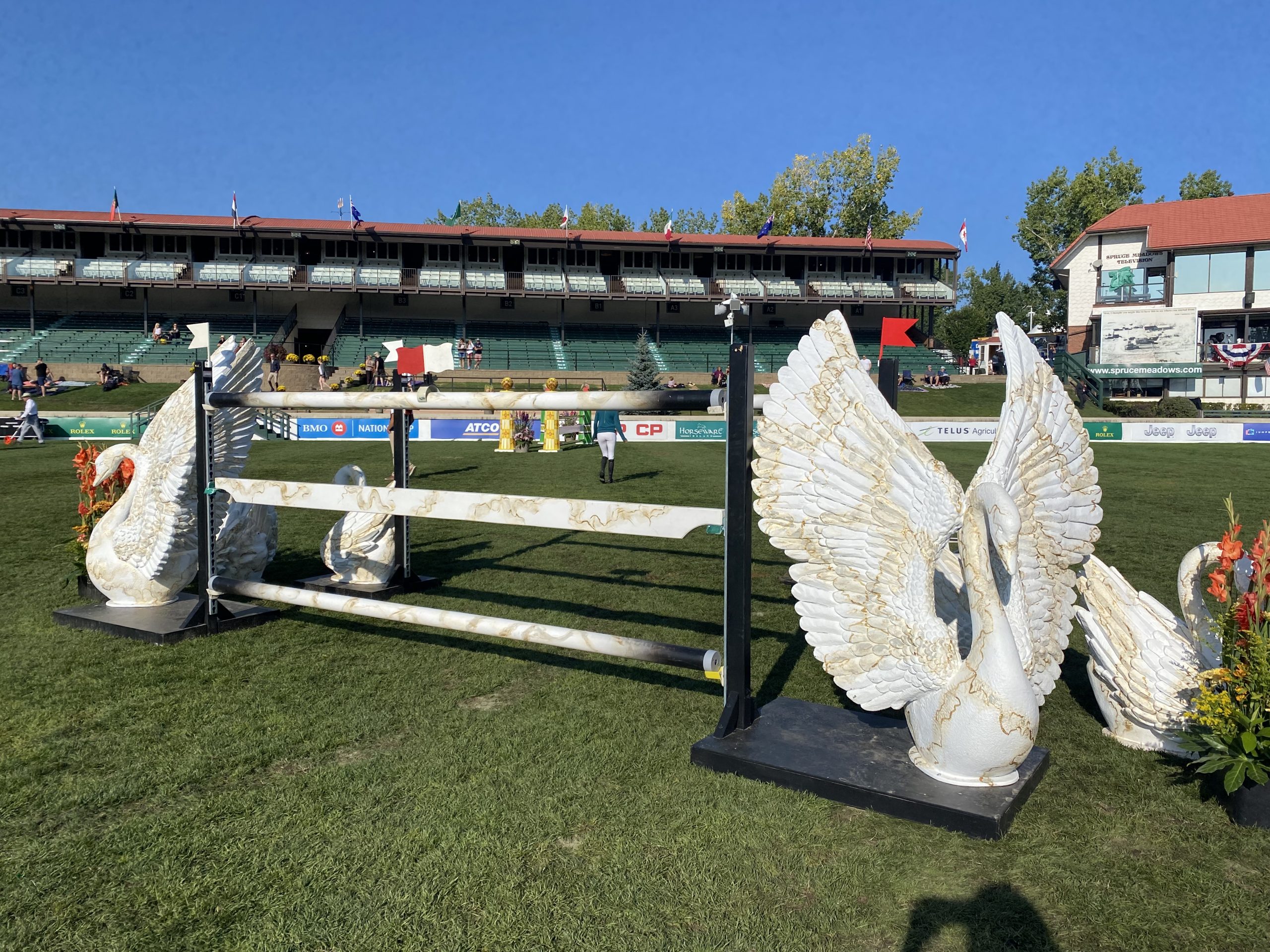 Showjumping fences: the swan double at the CP International at Spruce Meadows