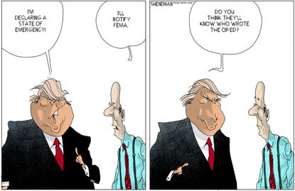 Political cartoon U.S. Trump state of emergency anonymous op-ed