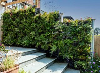 living walls installed in a london garden