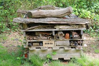 DIY bug hotel made from pallets