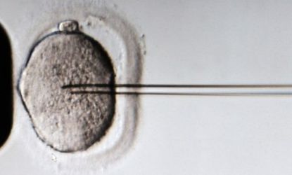 A sperm is injected into an egg cell: Freezing one's eggs can cost roughly $18,000 and some eager, would-be grandparents are helping their daughters pay the bill. 