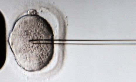 A sperm is injected into an egg cell: Freezing one&amp;#039;s eggs can cost roughly $18,000 and some eager, would-be grandparents are helping their daughters pay the bill. 