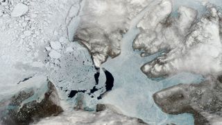 White shapes float on a white background