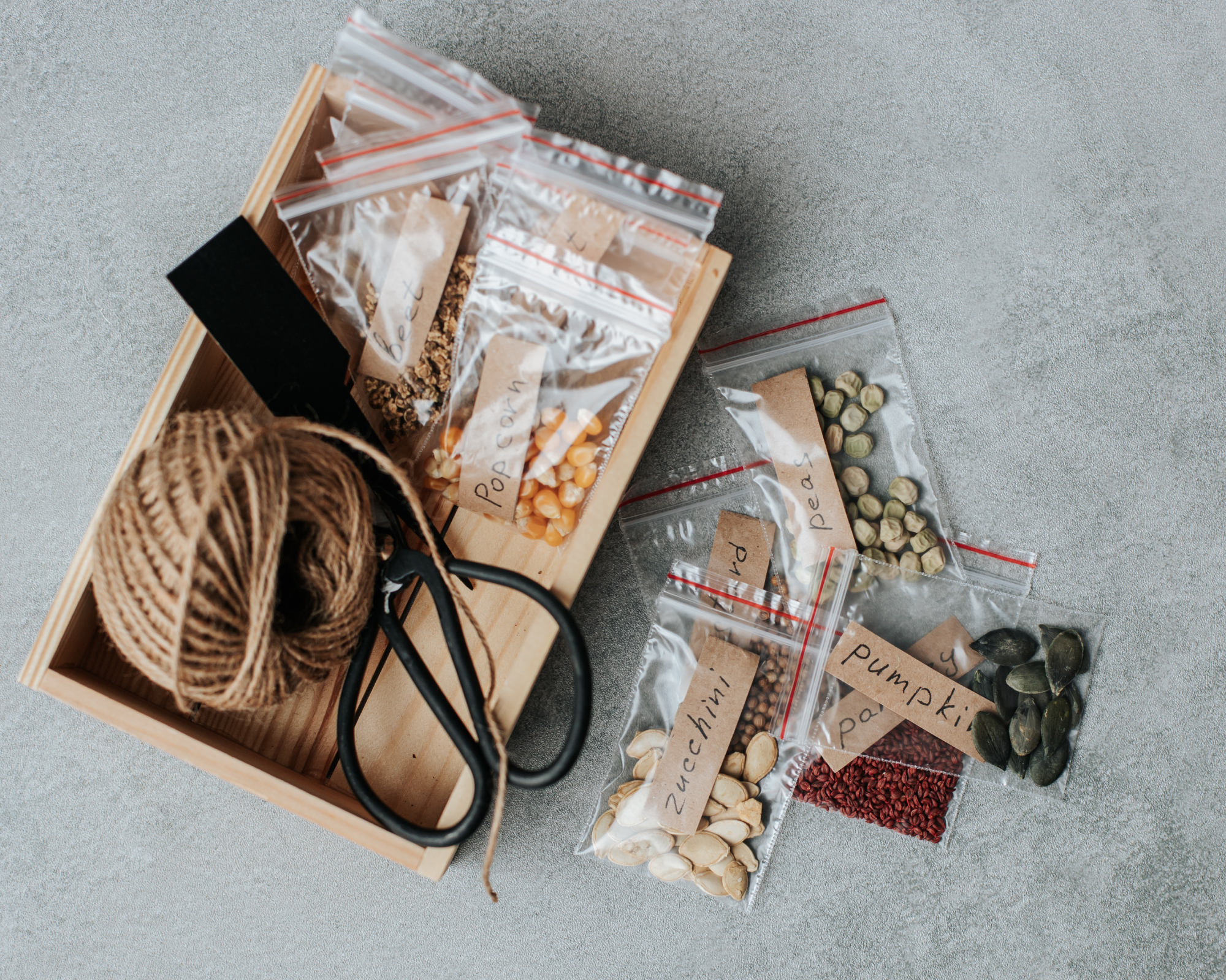 Seeds saved in plastic bags