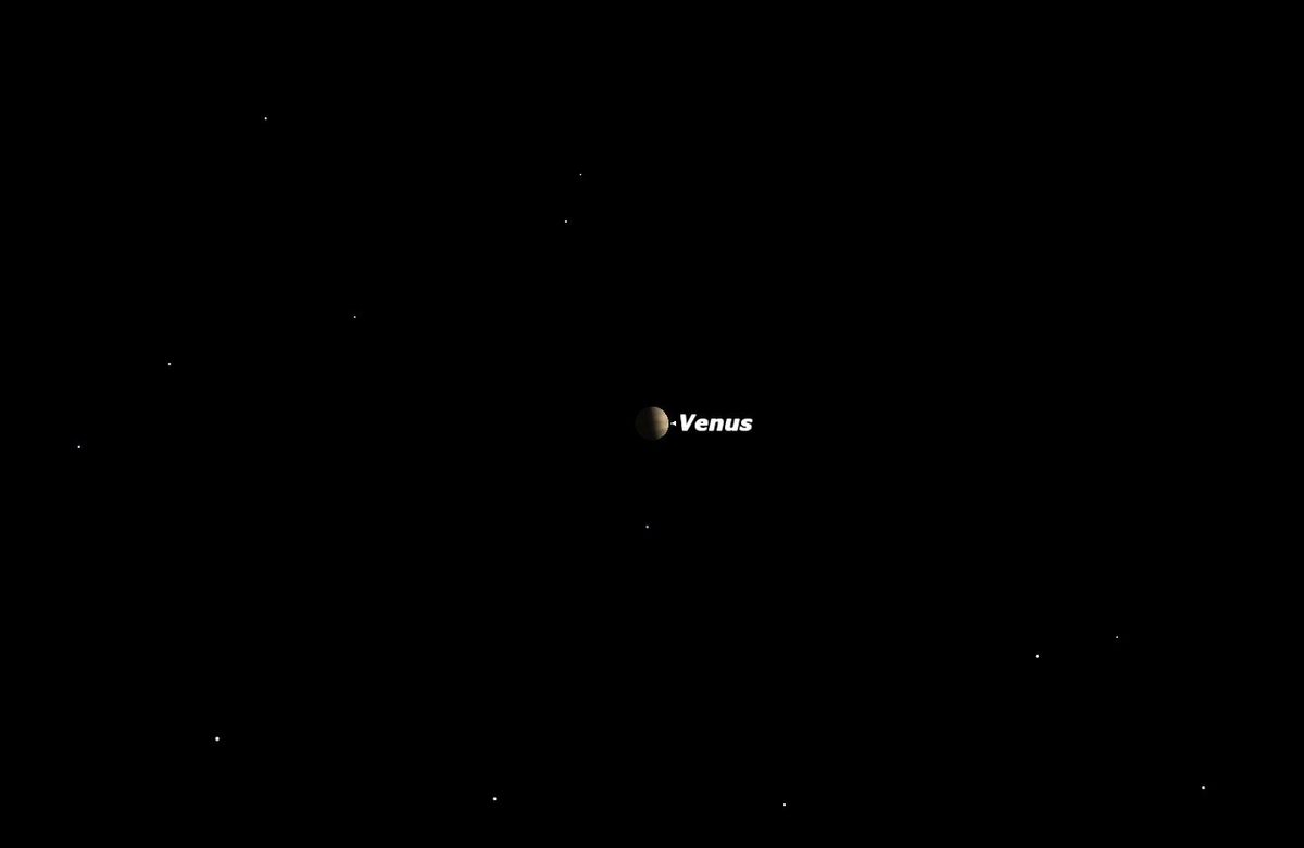 Venus Shining at Its Best in the Night Sky Space