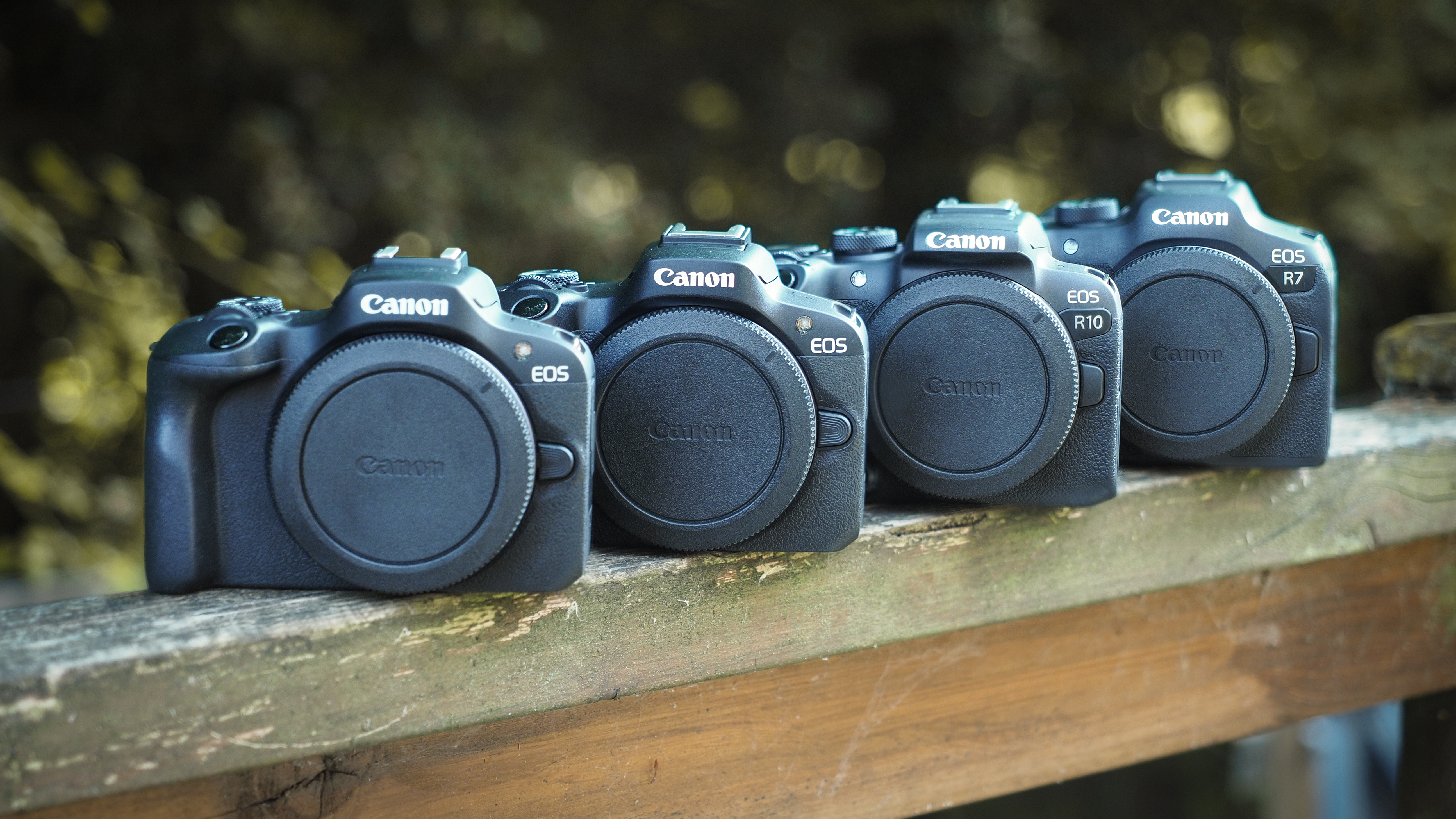 Canon APS-C cameras on a wooden surface