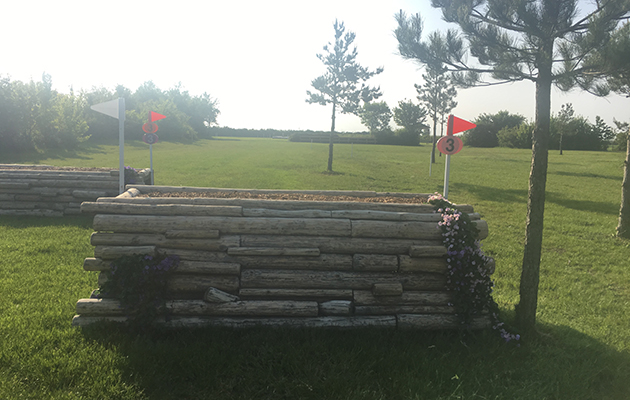 Fence 3