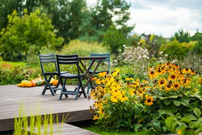 backyard terrace in the fall with metal chairs, yellow flowers and pumpkin display