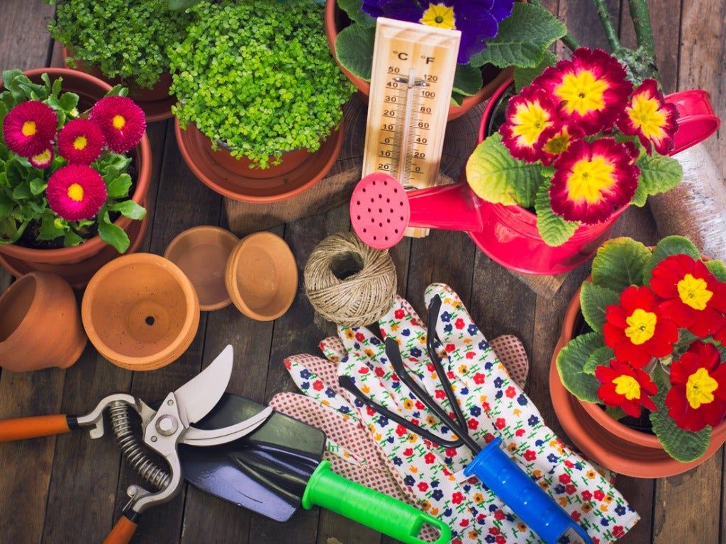 Table Full Of Gardening Tools Planters And Flowers