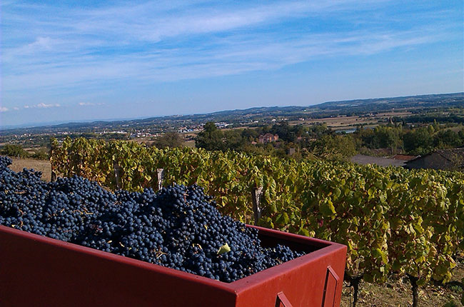 Domaine de la Ramaye