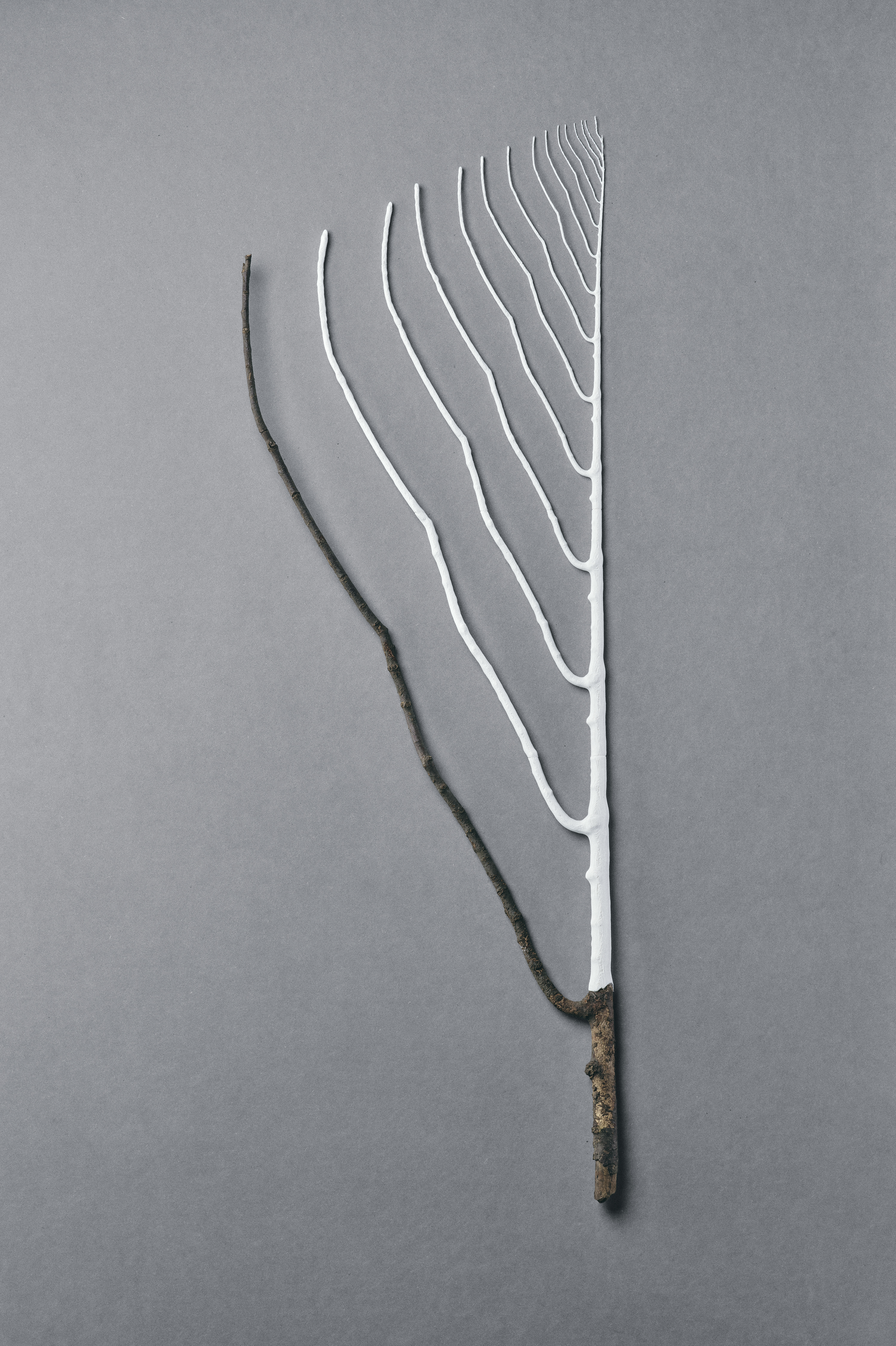 Takt project, japanese design at milan design week 2026