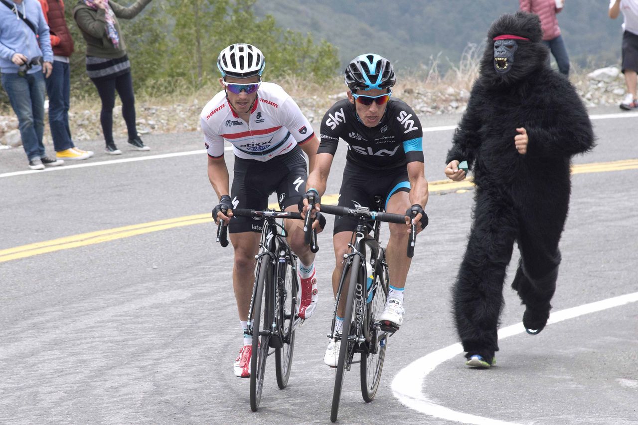 Julian Alaphilippe (Etixx-Quickstep), Sergio Henao (Team Sky) and a gorilla...