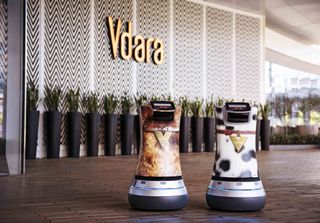 Vdara Hotel Robots