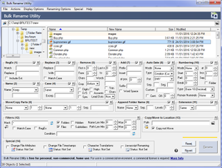 Bulk Rename Utility is a heavyweight renaming application which is free for private use