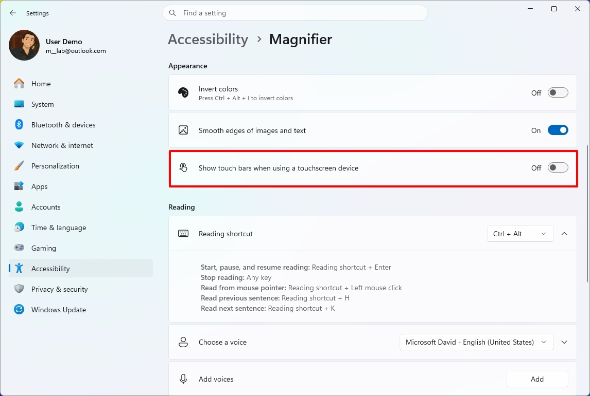Windows Accessibility settings screen highlighting the "Show touch bars" option.