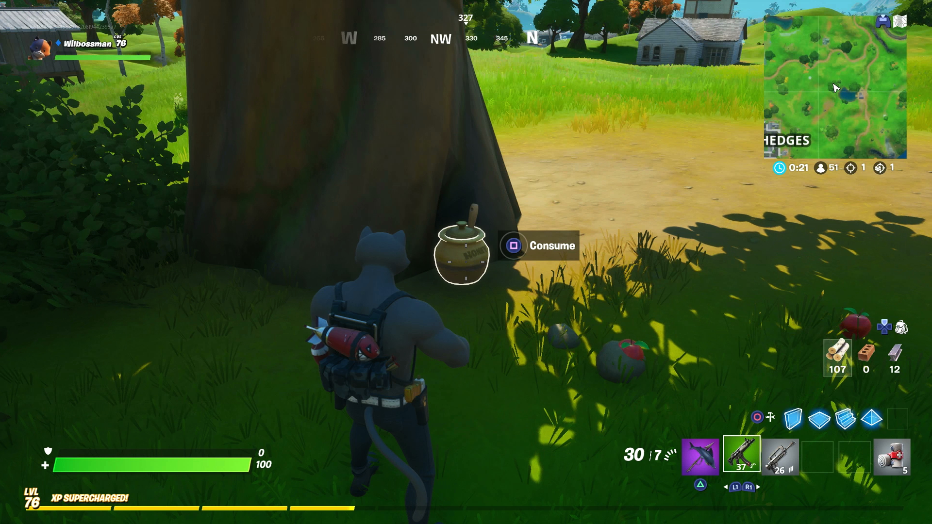 Fortnite Honey Pots