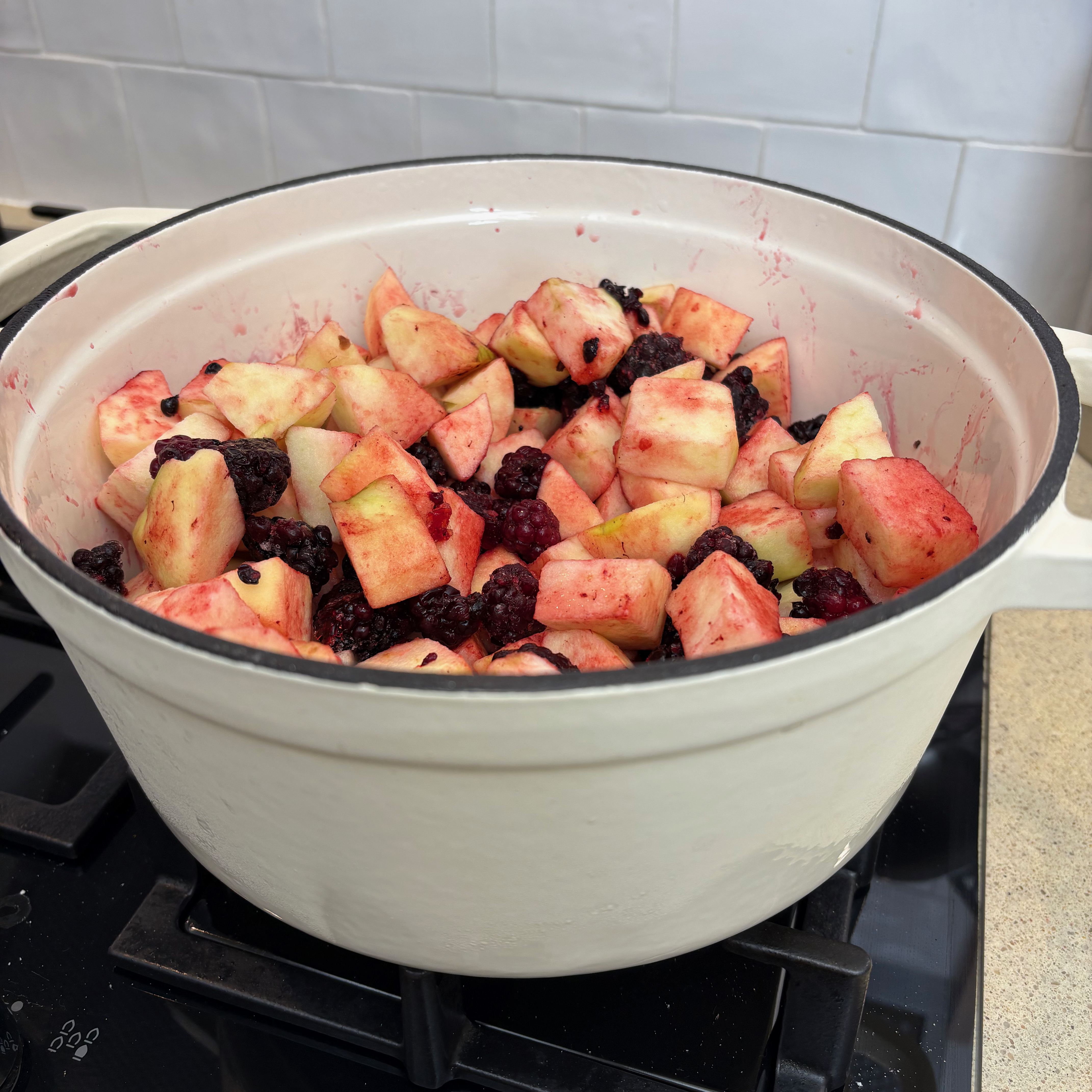 Testing the Salter Chester Cast Iron Casserole Dish set
