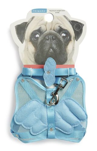 Primark dog wing harness