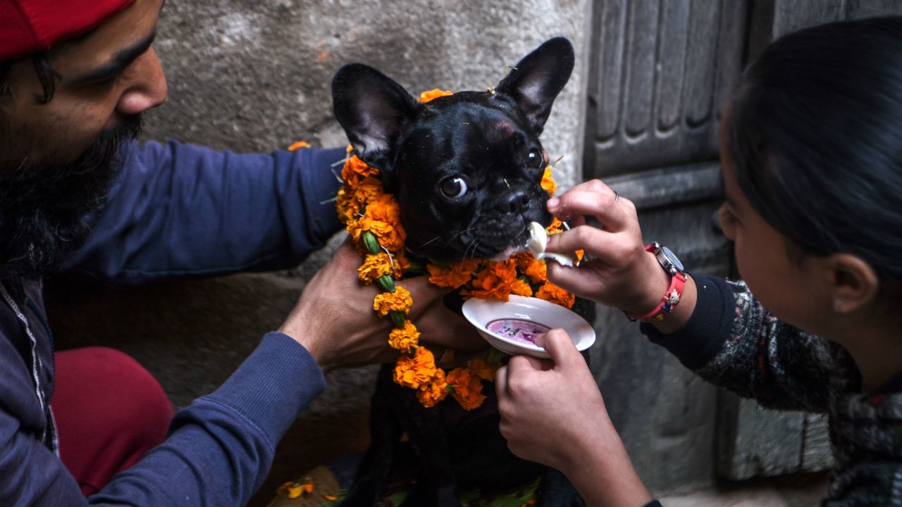 Diwali, Tihar, Nepal