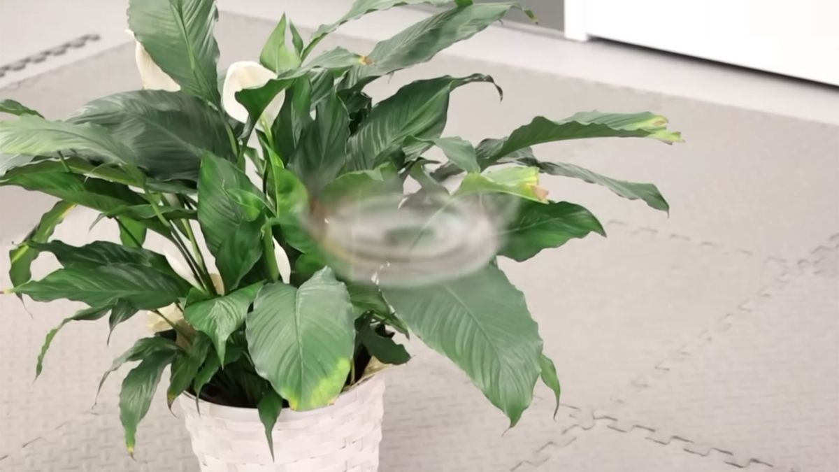 ‘Phantom Twist’ drone spins so fast that it is nearly invisible — flying device adds motion blur to the real world