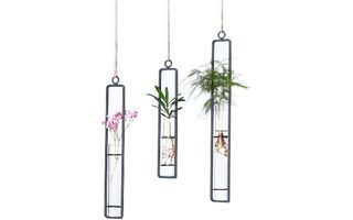 Best hanging terrariums