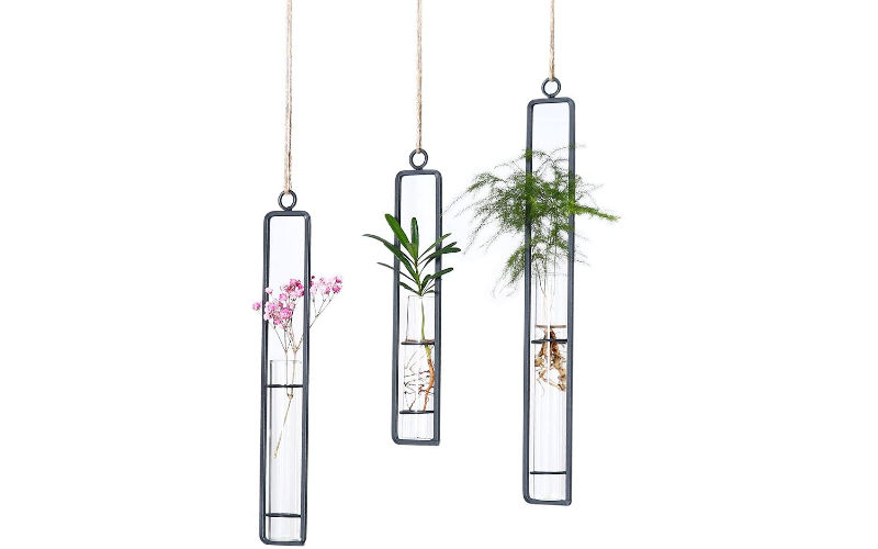 Best hanging terrariums