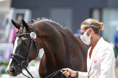 Tokyo Olympics dressage trot-up pictures: Edward Gal and Total US
