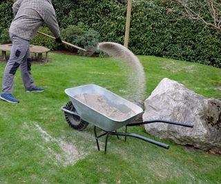 Gardener adding sand to a lawn surface with a wheelbarrow and spade