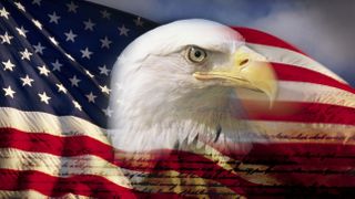 An eagle superimposed on the US flag and constitution.