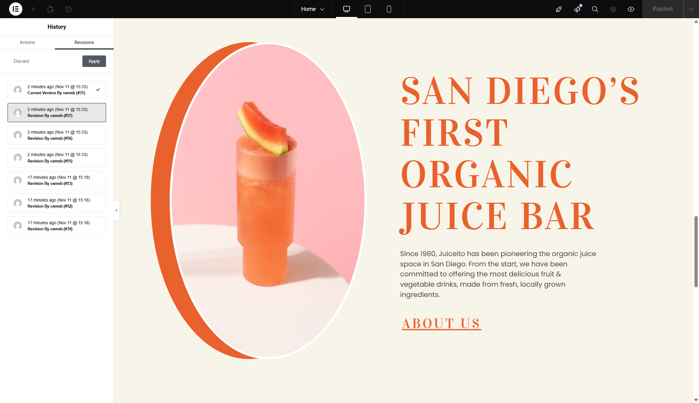 screenshot of elementor website ready to launch.