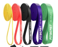 Fitbeast Resistance bands x5 and accessories 