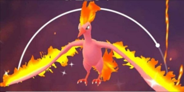 Pokemon Shiny moltres 5