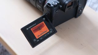 Canon LCD screen showing the camera manually focusing on a frame of 35mm film