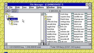 Windows 3.0 File Manager