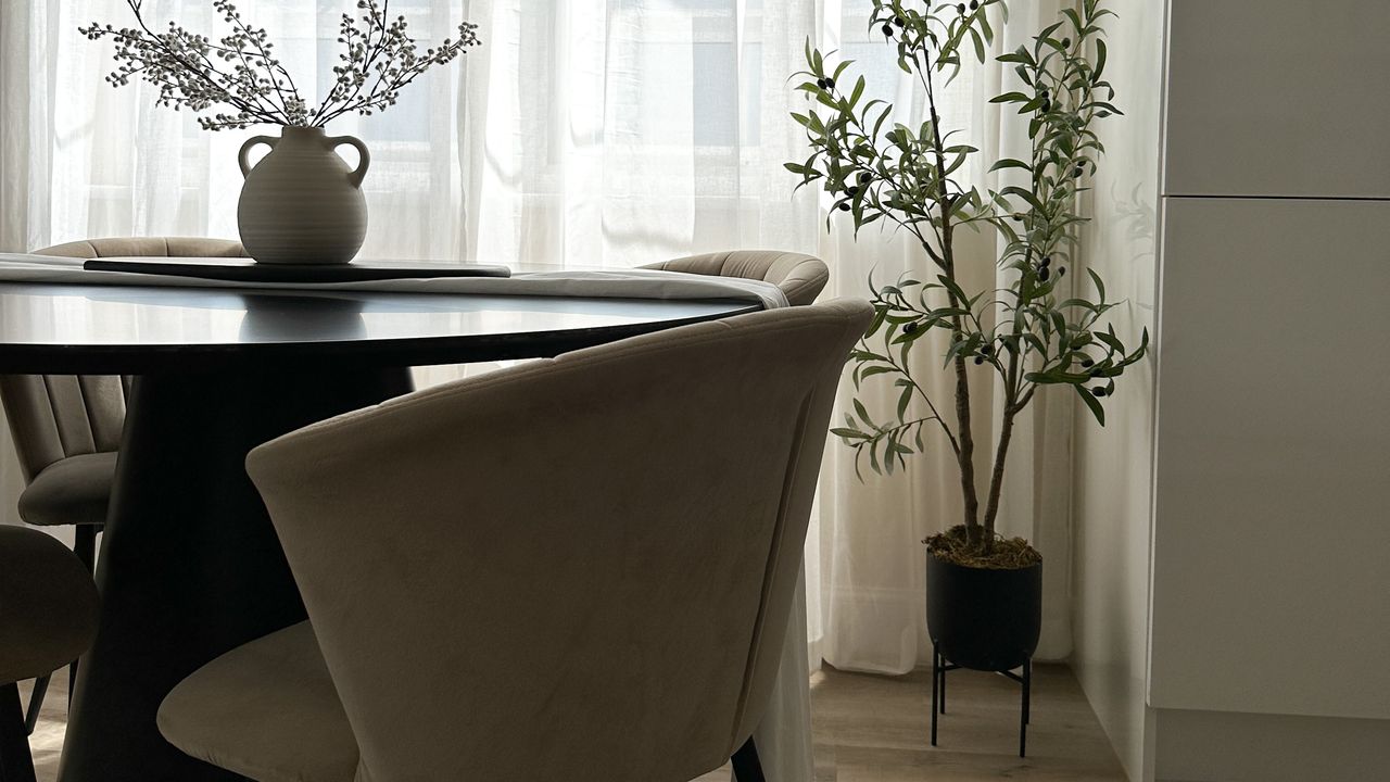 Dining room with long curtains and potted olive tree