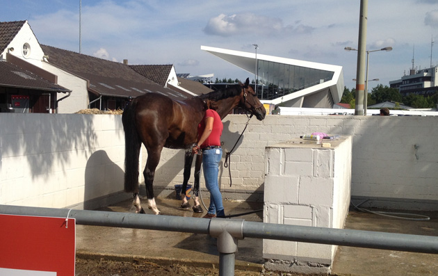 Stables2READY